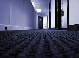 hallway of an office with cubicle walls and open doors
